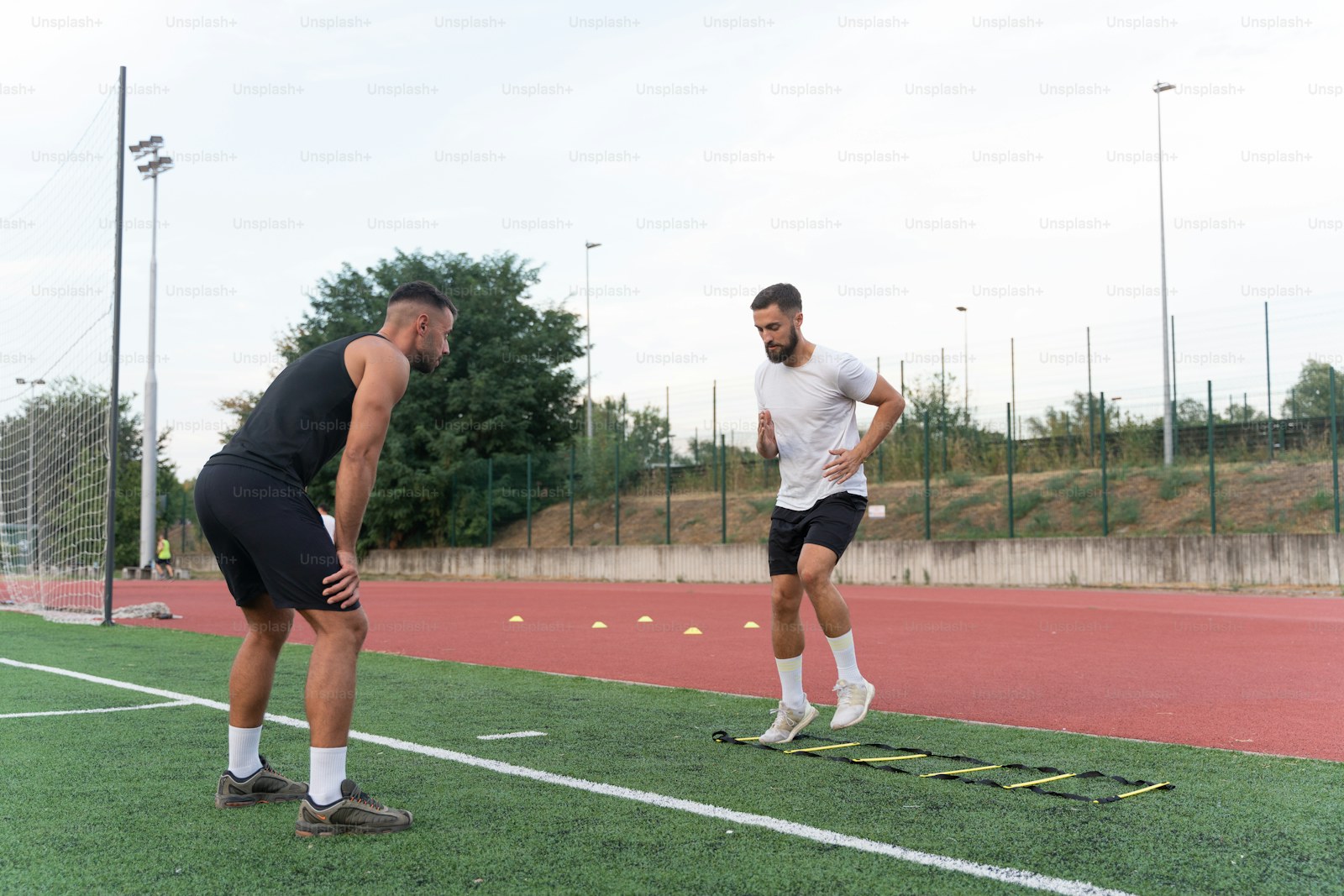 Charlotte vs Nashville Team News Turns Wilfried Zaha's Suspension Into the Matchday Pivot