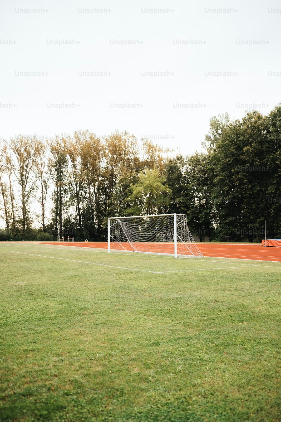 Daily Football Betting Tips Today for Draw No Bet and Under 4.5 Goals