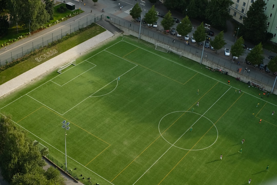 Line Movement Checklist for First Card Market Value Timing