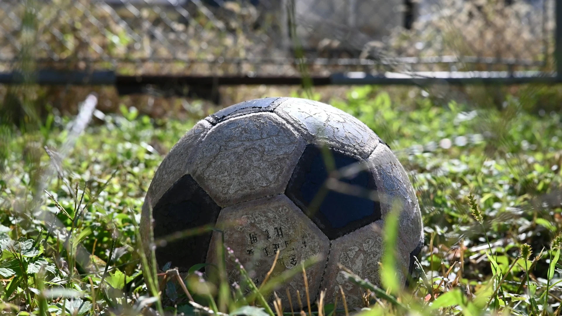 Bankroll Rules for Cards: Keep Variance Under Control (v2)