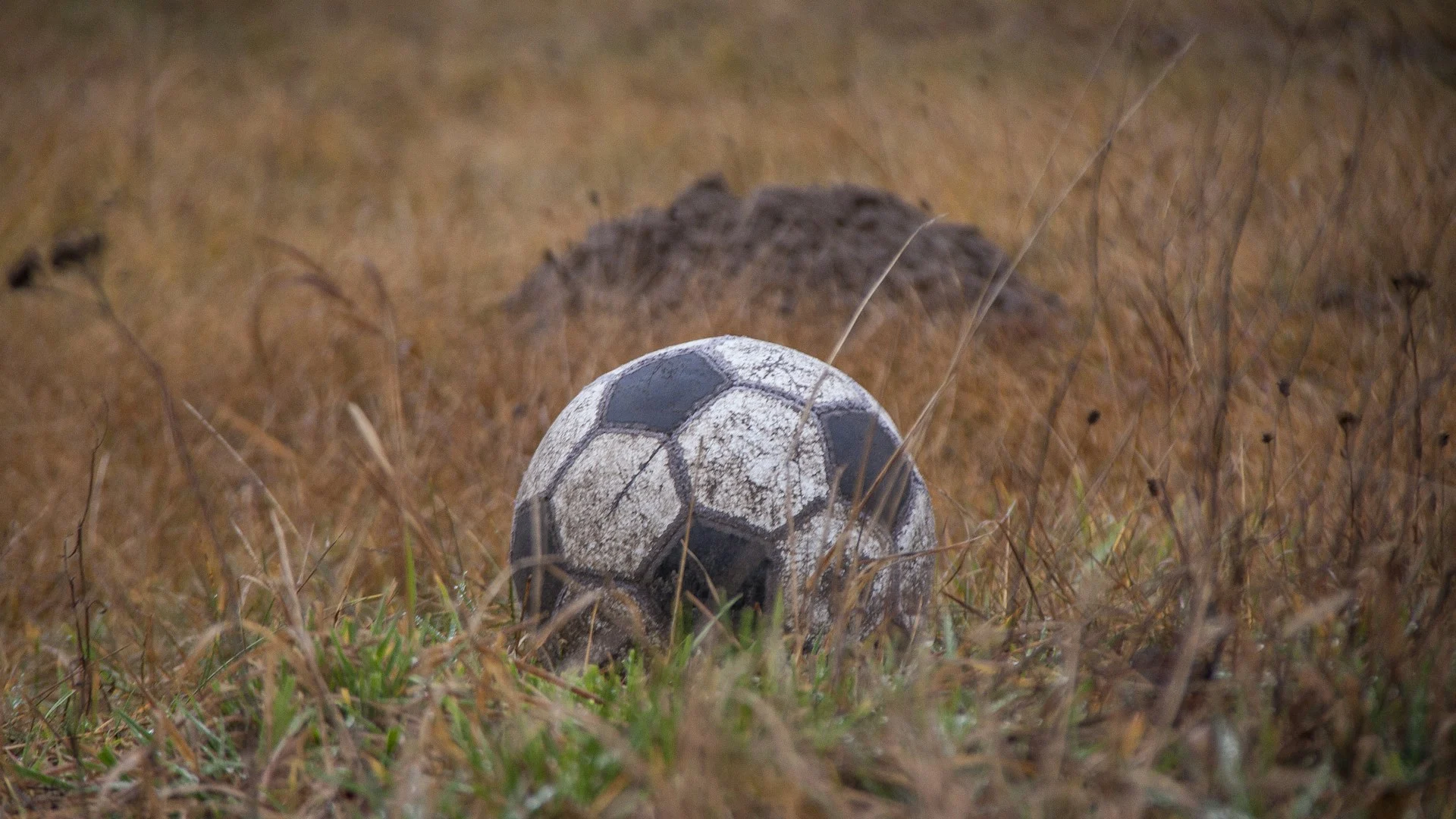 Pre-Match vs Live Betting for Win to Nil: Best Timing (v2)