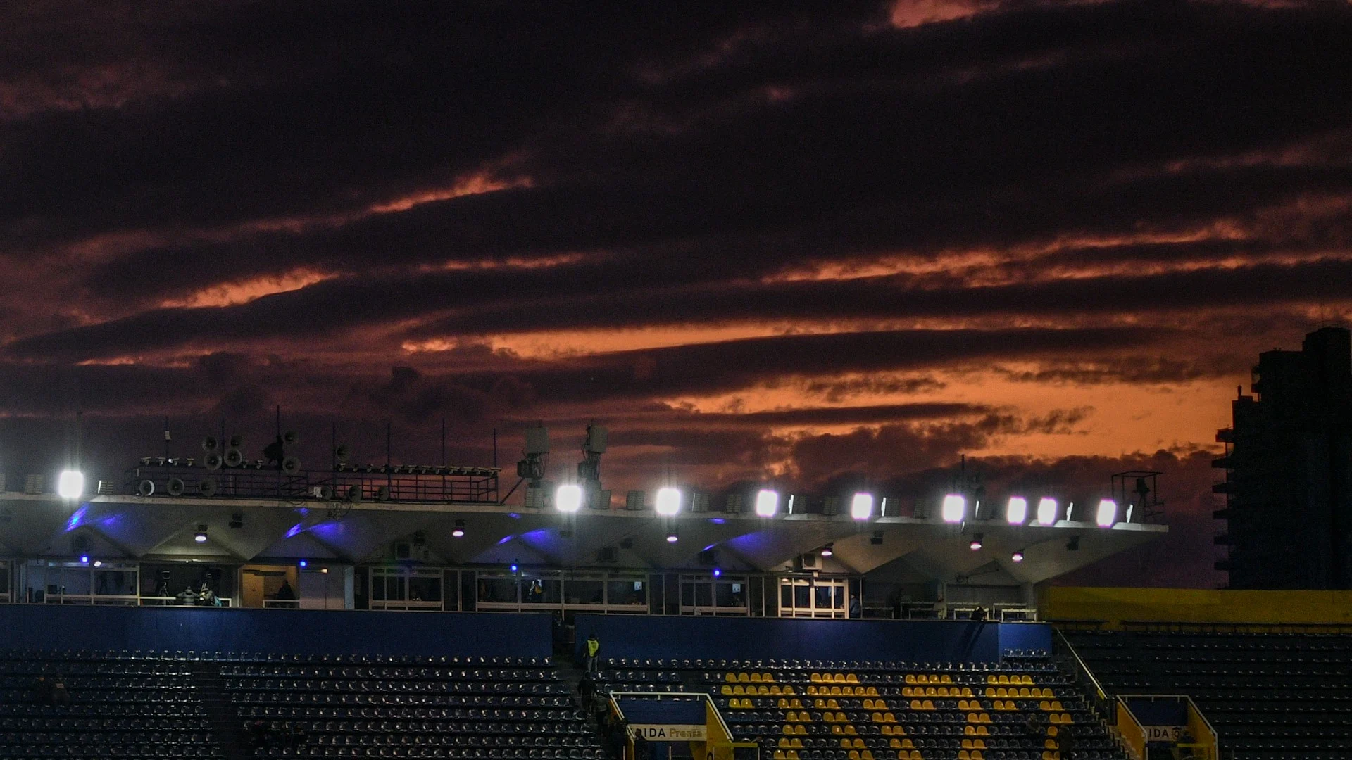 Pre-Match vs Live Betting for Win to Nil: Best Timing