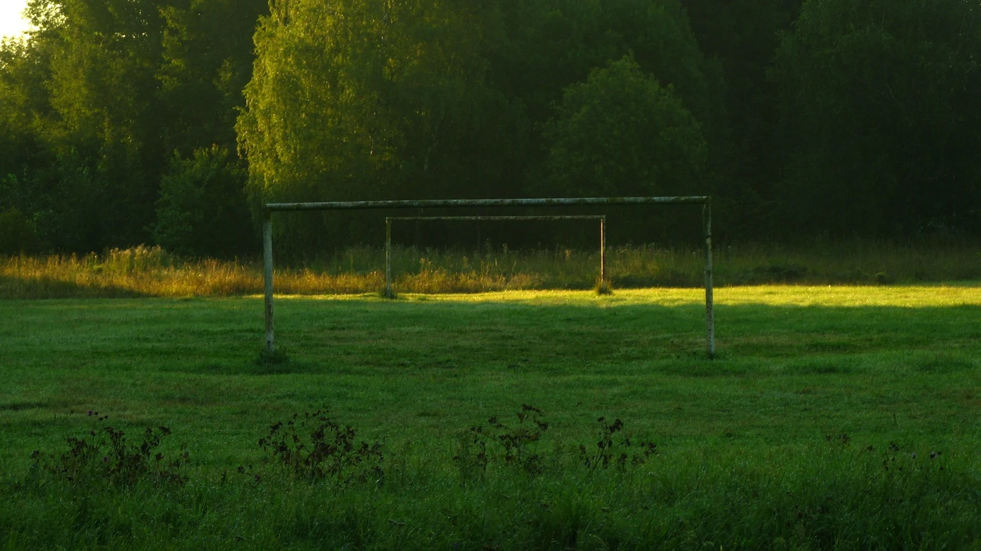 Win to Nil Betting Guide: long-term Methods for Championship